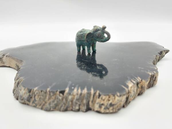 Am1555-Gajah Barong Genie